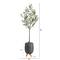 6ft. Olive Artificial Tree in Gray Planter with Stand